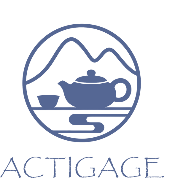 Actigage